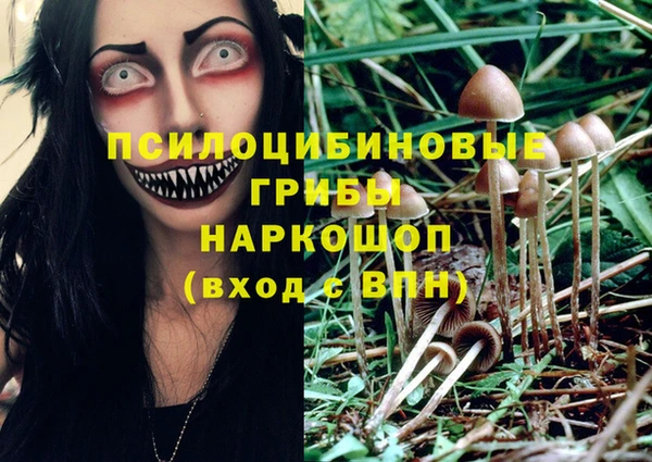 таблы Алексин