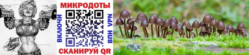 Псилоцибиновые грибы GOLDEN TEACHER  что такое   Щёлково 
